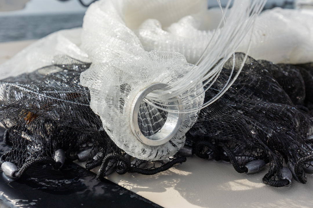 barracuda fishing net Barracuda Blackhole Cast Nets – Salty Network