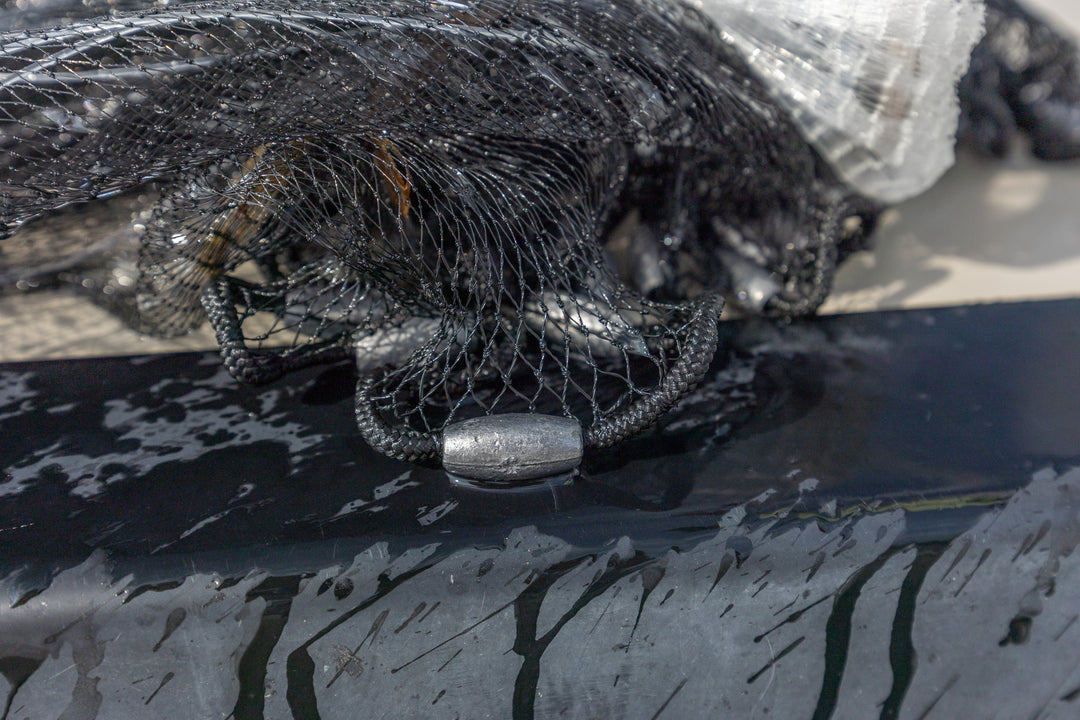 barracuda fishing net Barracuda Blackhole Cast Nets – Salty Network